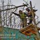 [:ru]В Никополе до 1 апреля обрежут деревья (фото)[:ua]У Нікополі до 1 квітня обріжуть дерева (фото)[:]