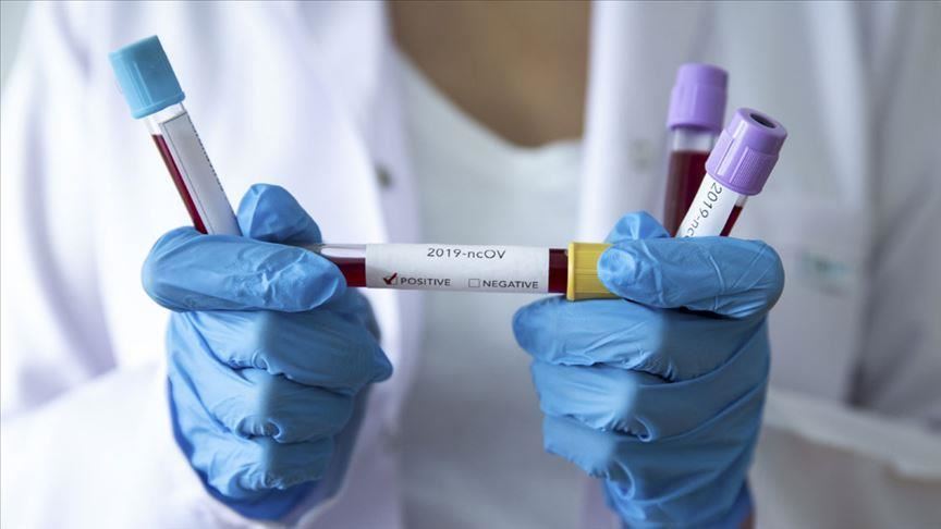 Количество новых случаев коронавируса в Никополе и районе на 8 февраля