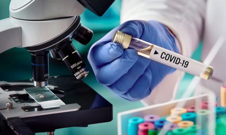 Количество новых случаев коронавируса в Никополе, Марганце и Покрове на 11 февраля