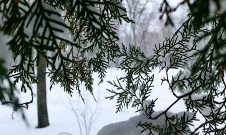 [:ru]Уже воспоминанье: как зима прощалась с Никополем в марте (фото)[:ua]Вже лиш спогад: як зима прощалась з Нікополем в березні (фото)[:]