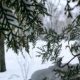 [:ru]Уже воспоминанье: как зима прощалась с Никополем в марте (фото)[:ua]Вже лиш спогад: як зима прощалась з Нікополем в березні (фото)[:]
