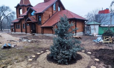 [:ru]Двор нового деревянного храма в Никополе будут украшать голубые ели[:ua]Подвір’я нового дерев’яного храму у Нікополі прикрашатимуть блакитні ялинки[:]