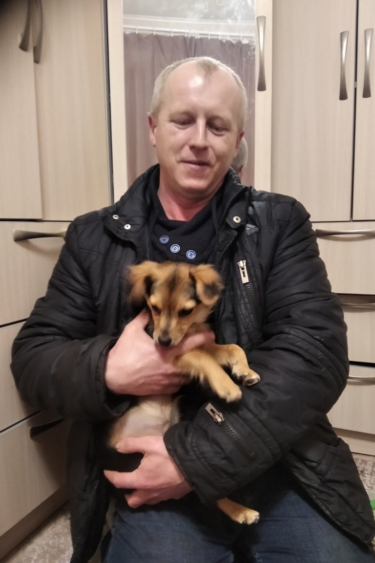 [:ru]В Никополе за неделю 12 собак стали домашними (фото)[:ua]У Нікополі за тиждень 12 собак стали домашніми (фото)[:]
