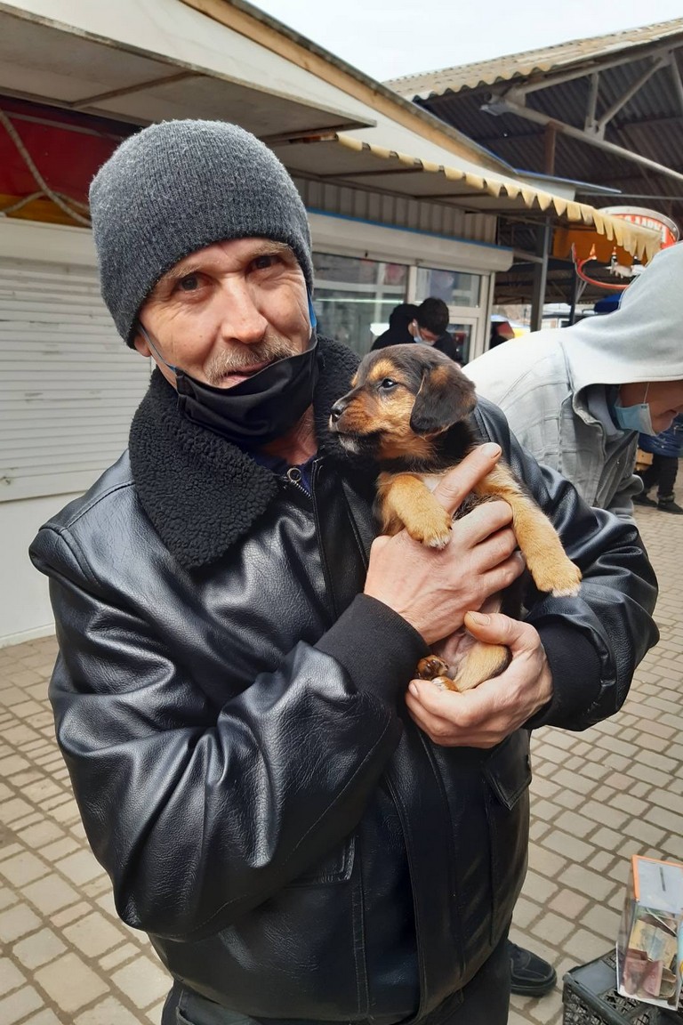 [:ru]В Никополе за неделю 12 собак стали домашними (фото)[:ua]У Нікополі за тиждень 12 собак стали домашніми (фото)[:]