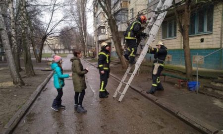 [:ru]В Покрове спасатели сняли кота с дерева[:ua]В Покрові рятувальники зняли кота з дерева[:]