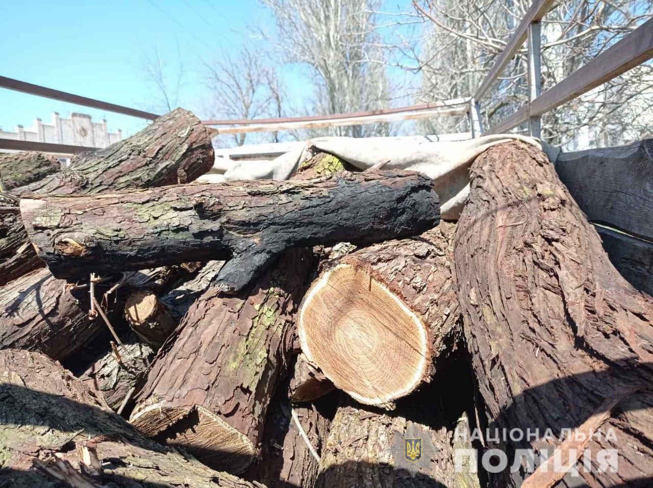 [:ru]В Марганце полиция разоблачила мужчин, которые незаконно рубили деревья[:ua]У Марганці поліція викрила чоловіків, які незаконно вирубували дерева[:]