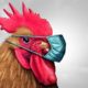 [:ru]Никопольчан предупредили о птичьем гриппе и рассказали, как уберечь животных[:ua]Нікопольців попередили про пташиний грип і розповіли, як уберегти тварин[:]