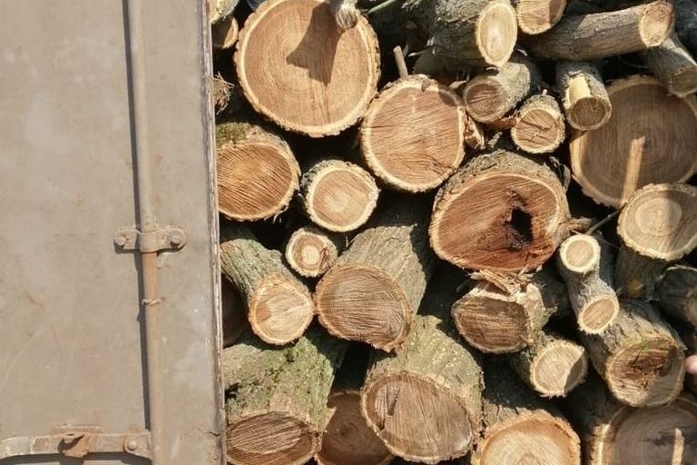 [:ru]В Никополе выявили грузовик с незаконно срубленными деревьями[:ua]У Нікополі виявили вантажівку з незаконно зрубаними деревами[:]