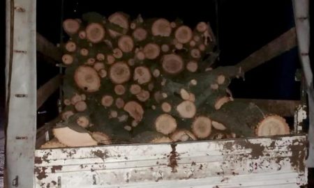 [:ru]Возле Никополя злоумышленники спилили 14 деревьев дуба[:ua]Біля Нікополя зловмисники спиляли 14 дерев дубу[:]
