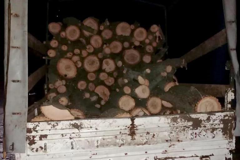 [:ru]Возле Никополя злоумышленники спилили 14 деревьев дуба[:ua]Біля Нікополя зловмисники спиляли 14 дерев дубу[:]