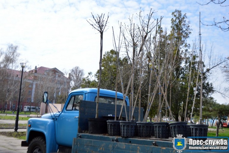 [:ru]В старой части Никополя сегодня высадили десятки деревьев (фото)[:ua]У старій частині Нікополя сьогодні висадили десятки дерев (фото)[:]