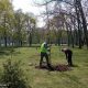 [:ru]В Никополе уже высадили более 200 деревьев[:ua]У Нікополі висадили вже понад 200 дерев (фото)[:]