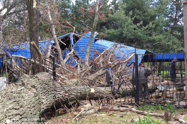 [:ru]В Никополе огромное дерево разрушило кафе (фото, видео)[:ua]У Нікополі величезне дерево зруйнувало кафе (фото, відео)[:]