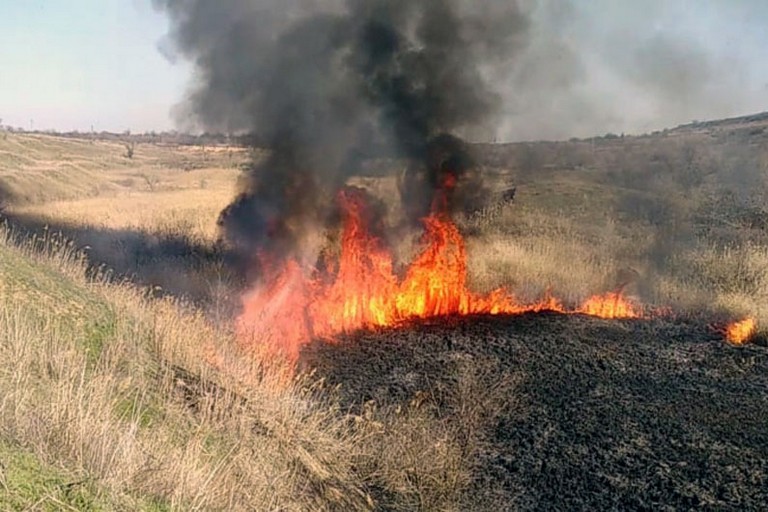 [:ru]Возле Никополя огнем уничтожено 4 га наземной экосистемы[:ua]Біля Нікополя вогнем знищено 4 га наземної екосистеми[:]