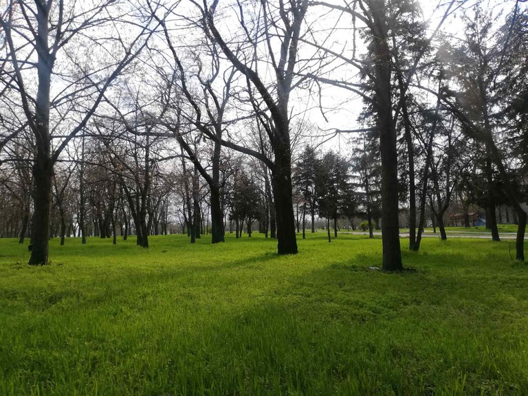 [:ru]Как в Никополе выглядит парк, побежденный временем (фото)[:ua]Як у Нікополі виглядає парк, переможений часом (фото)[:]