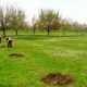 [:ru]В Покрове высадят более тысячи деревьев этой весной[:ua]В Покрові висадять понад тисячу дерев цієї весни[:]