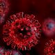 [:ru]Опять много: количество случаев коронавируса в Никополе за сутки на 18 апреля[:ua]Знову багато: кількість випадків коронавірусу у Нікополі за добу на 18 квітня[:]