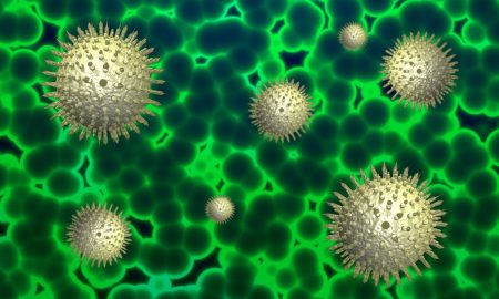 [:ru]Количество новых случаев коронавируса в Никополе и Покрове на 30 апреля[:ua]Кількість нових випадків коронавірусу у Нікополі та Покрові на 30 квітня [:]