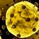 [:ru]Количество новых случаев коронавируса в Никополе, Покрове и Марганце на 28 апреля[:ua]Кількість нових випадків коронавірусу у Нікополі, Покрові і Марганці на 28 квітня [:]