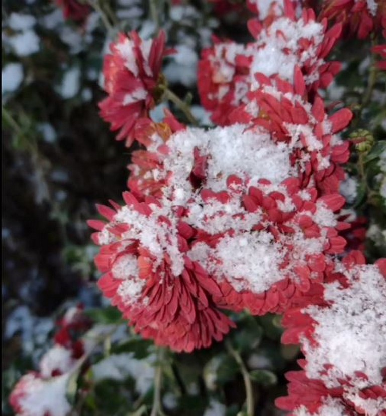 Первый снег: в Никополе создали клип на красивую песню (видео)