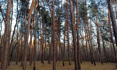 Фото передмістя Нікополя