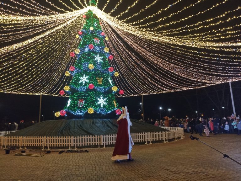 В Никополе открыли главную новогоднюю елку 
