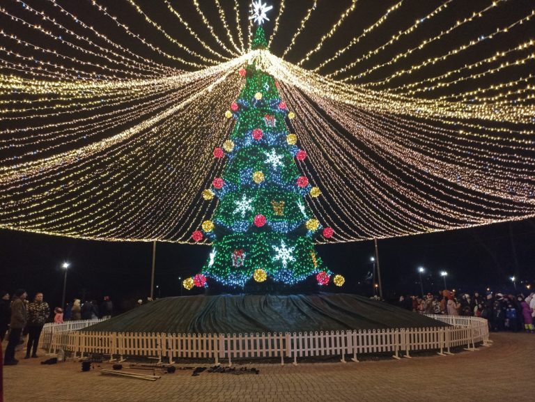 В Никополе открыли главную новогоднюю елку 