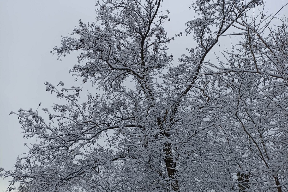 Как выглядит Никополь под белым покрывалом декабря (фото)