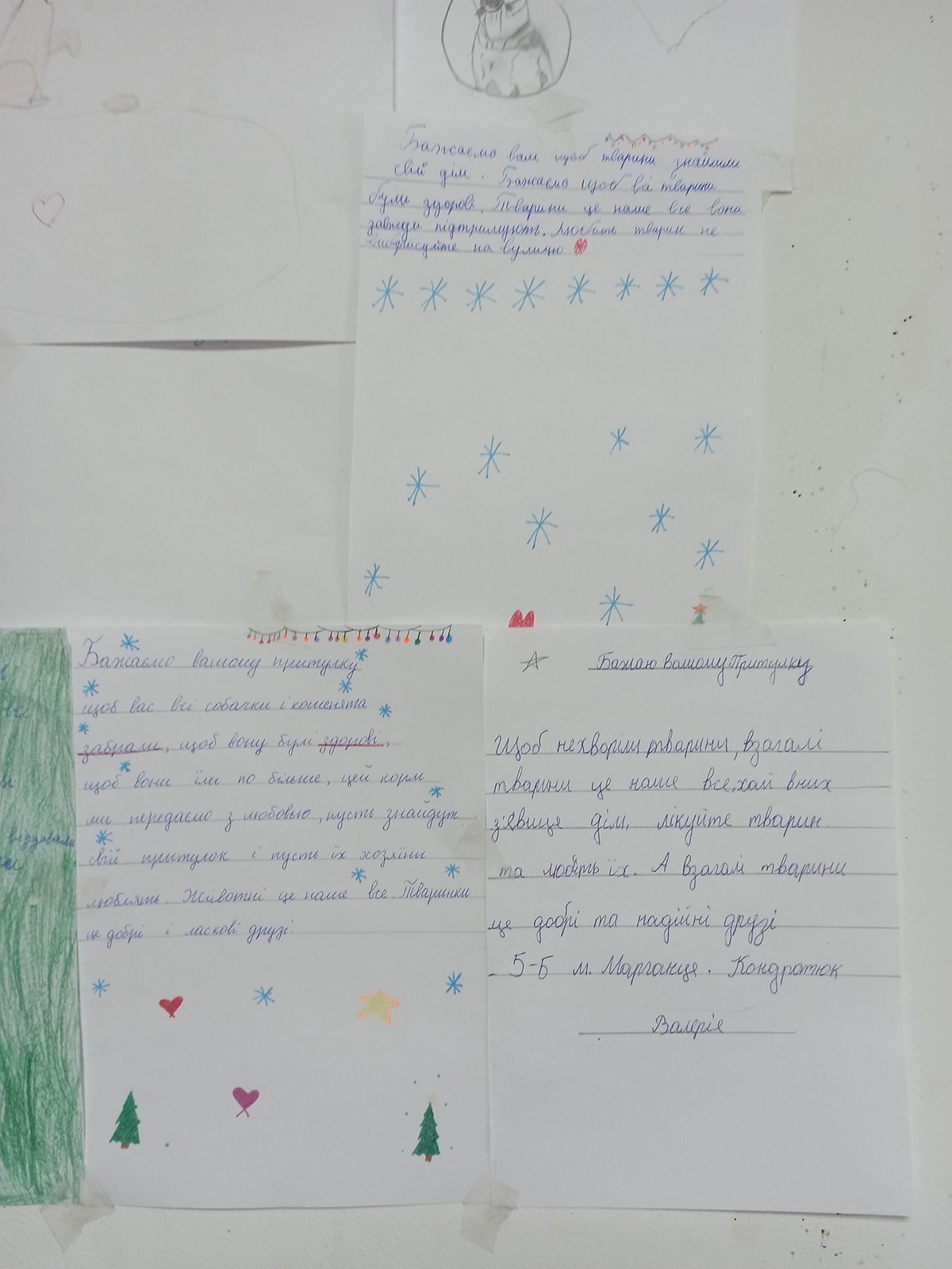«Приятно до слез»: дети из Марганца передали подарки питомцам Никопольского приюта для животных