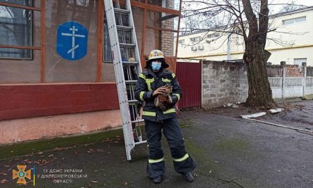 В Покрове спасли котенка