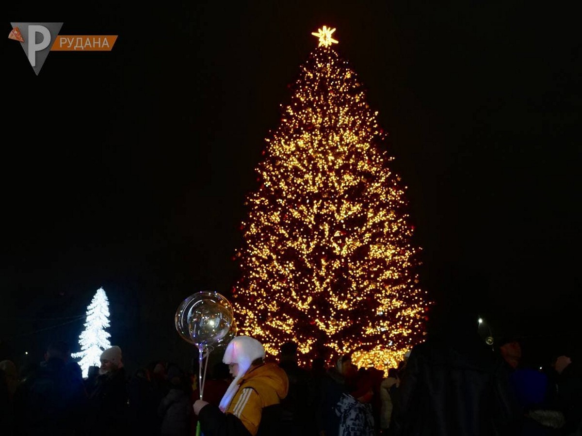 Как выглядят главные елки в пяти крупнейших городах Днепропетровской области (фото)