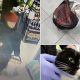 Рядом с убитой хозяйкой нашли подстреленную кошку в переноске: в Днепре ищут родных погибшей женщины
