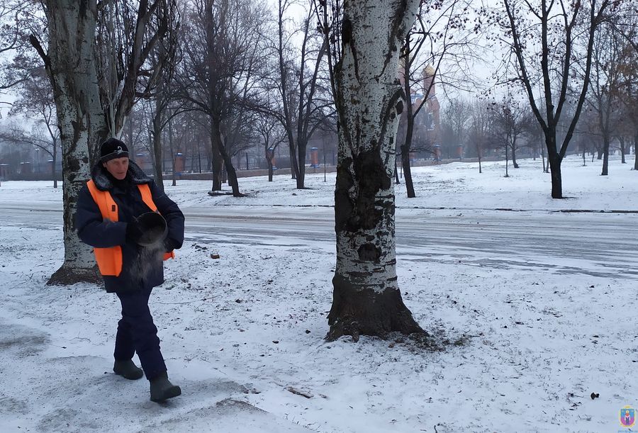 Снігопад у Покрові: комунальники працюють у посиленому режимі (фото)