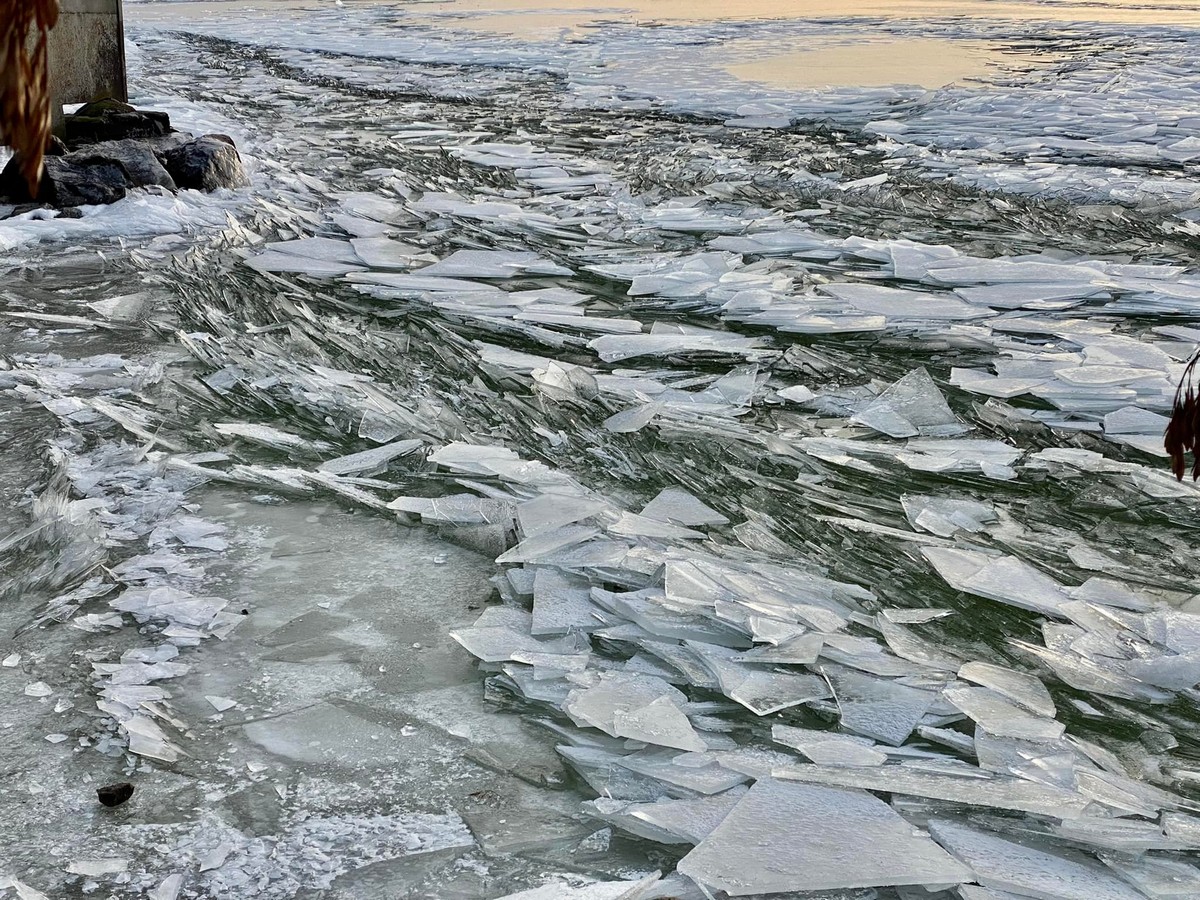 Від краси захоплює дух! Як виглядає берег Каховського водосховища у морозний день