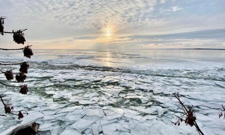 От красоты захватывает дух! Как выглядит берег Каховского водохранилища в морозный день