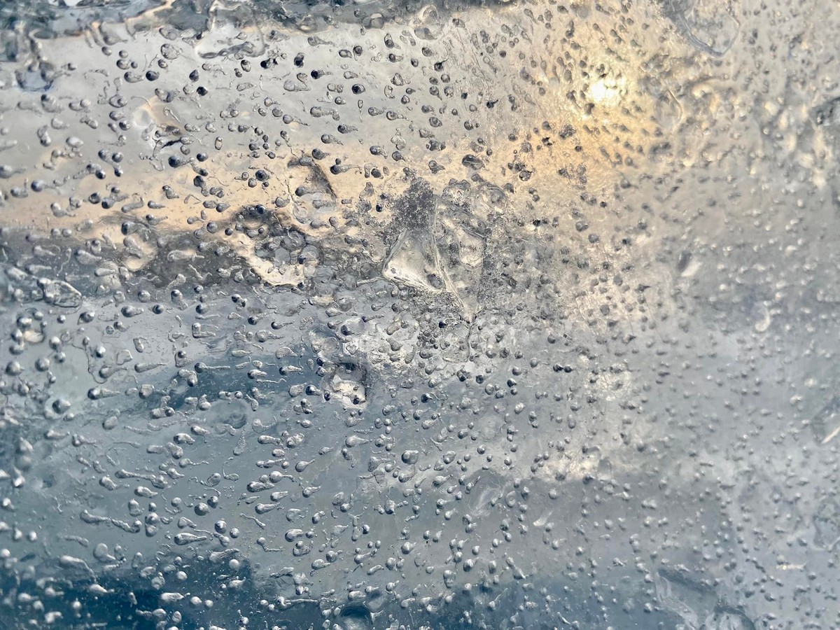 От красоты захватывает дух! Как выглядит берег Каховского водохранилища в морозный день 