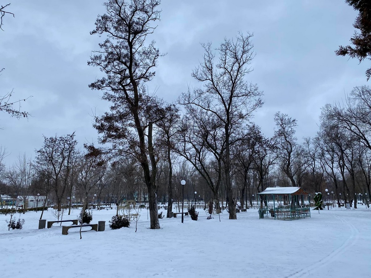 Як виглядає засніжений центральний парк у Покрові (фото)