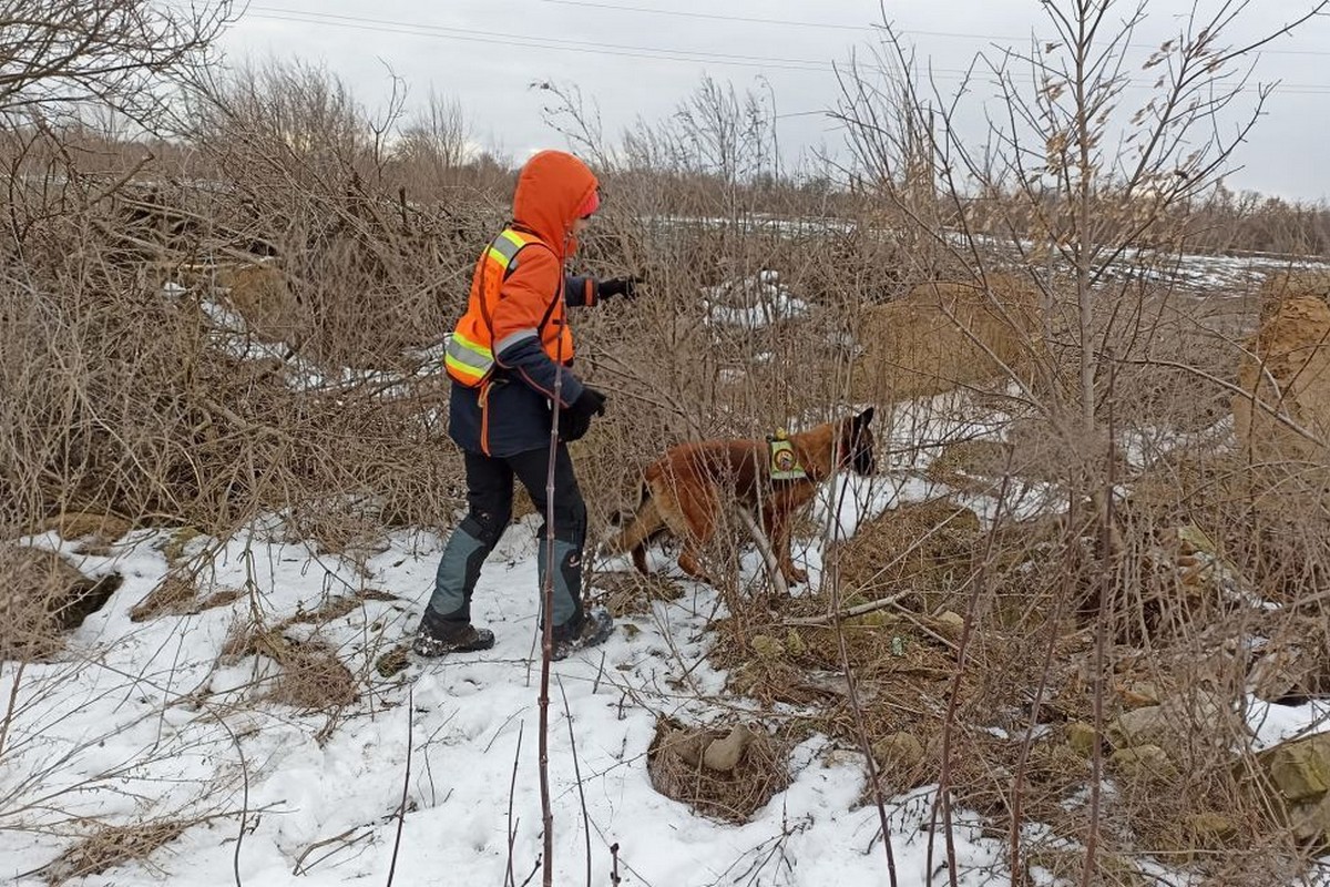 Волонтеры с собаками и полиция ищут 12-летнюю девочку на Днепропетровщине (фото, видео)