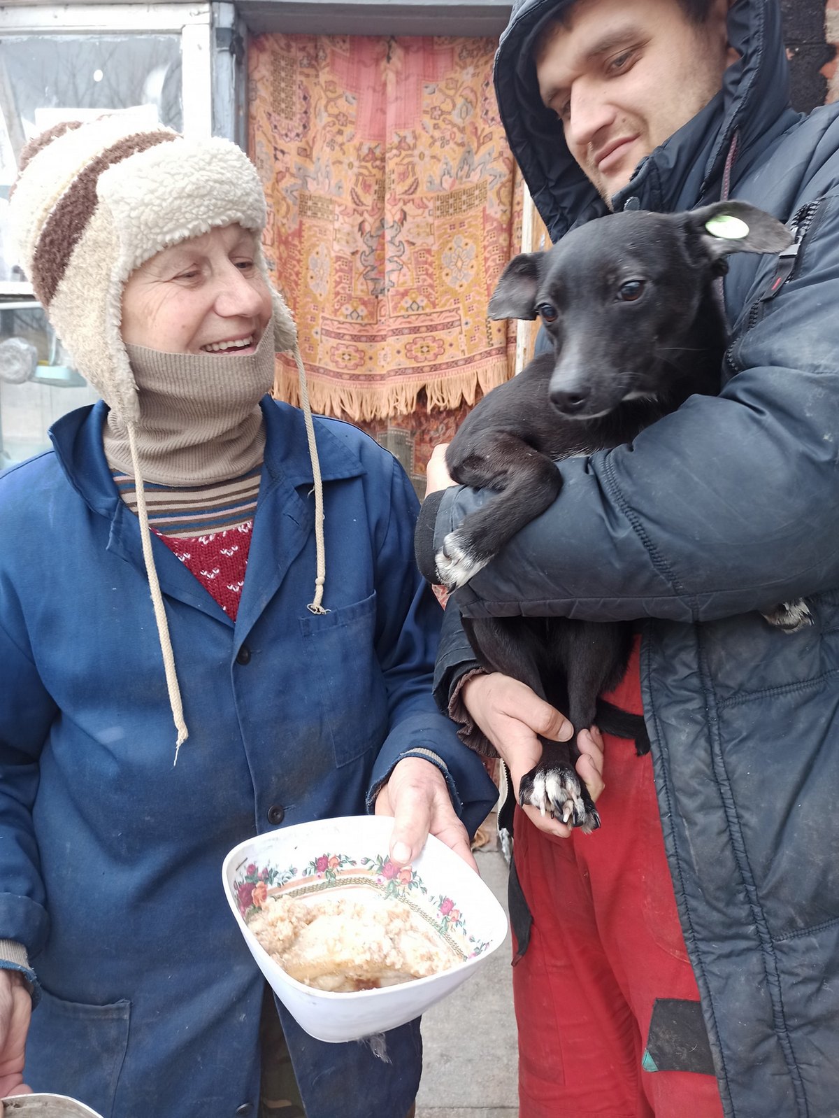 Понад 100 тисяч гривень пожертвували люди для собак у Нікополі в січні