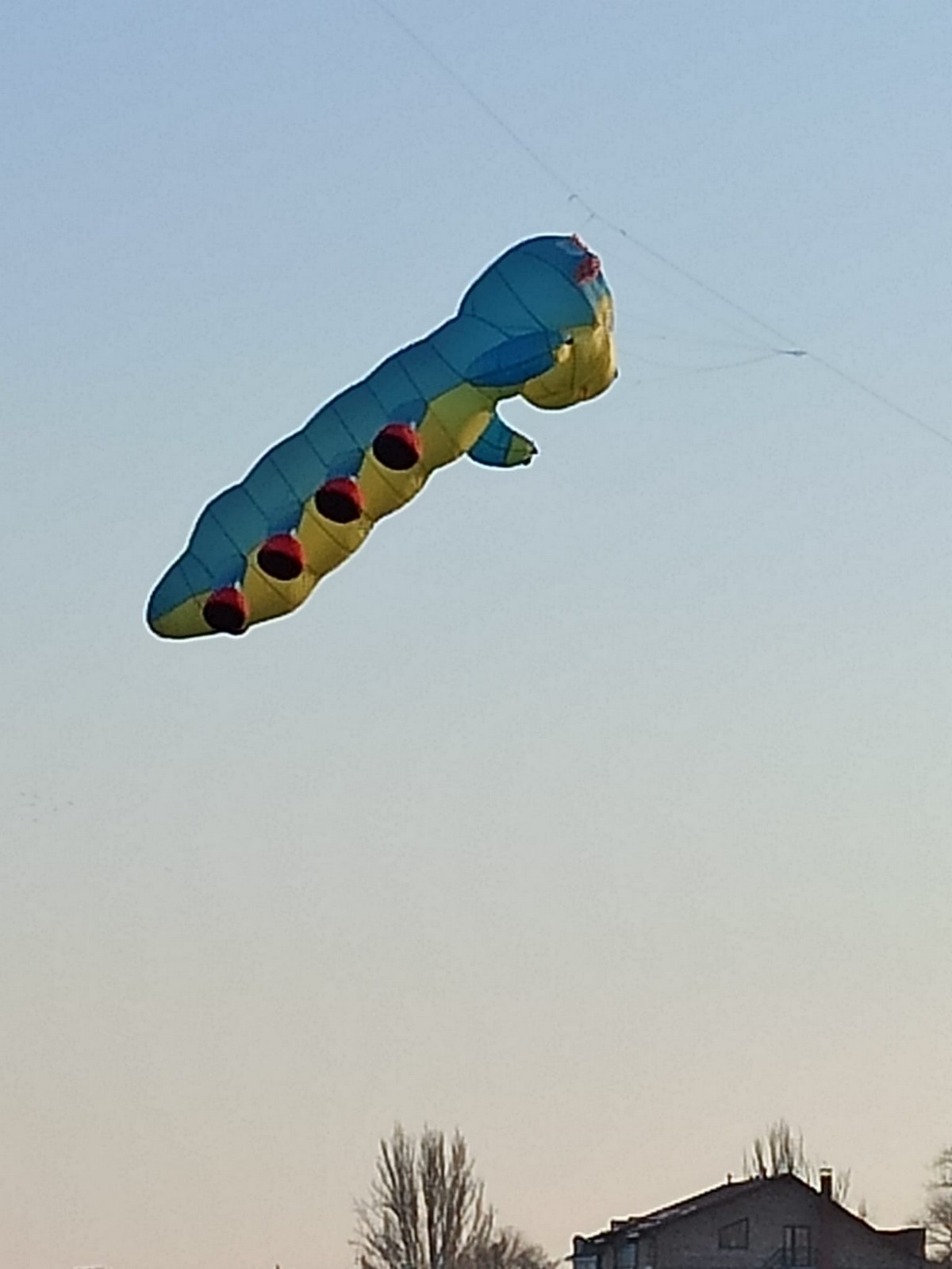 В небе над Никополем летала 5-метровая сороконожка (фото)
