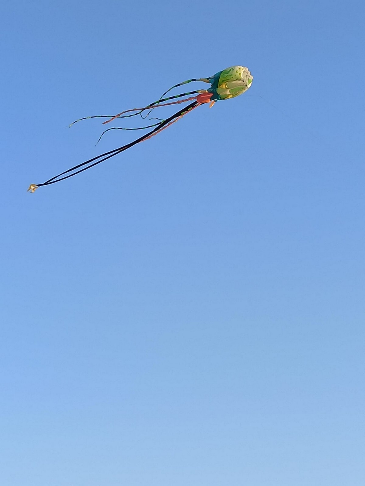 В небе над Никополем летала 5-метровая сороконожка (фото)