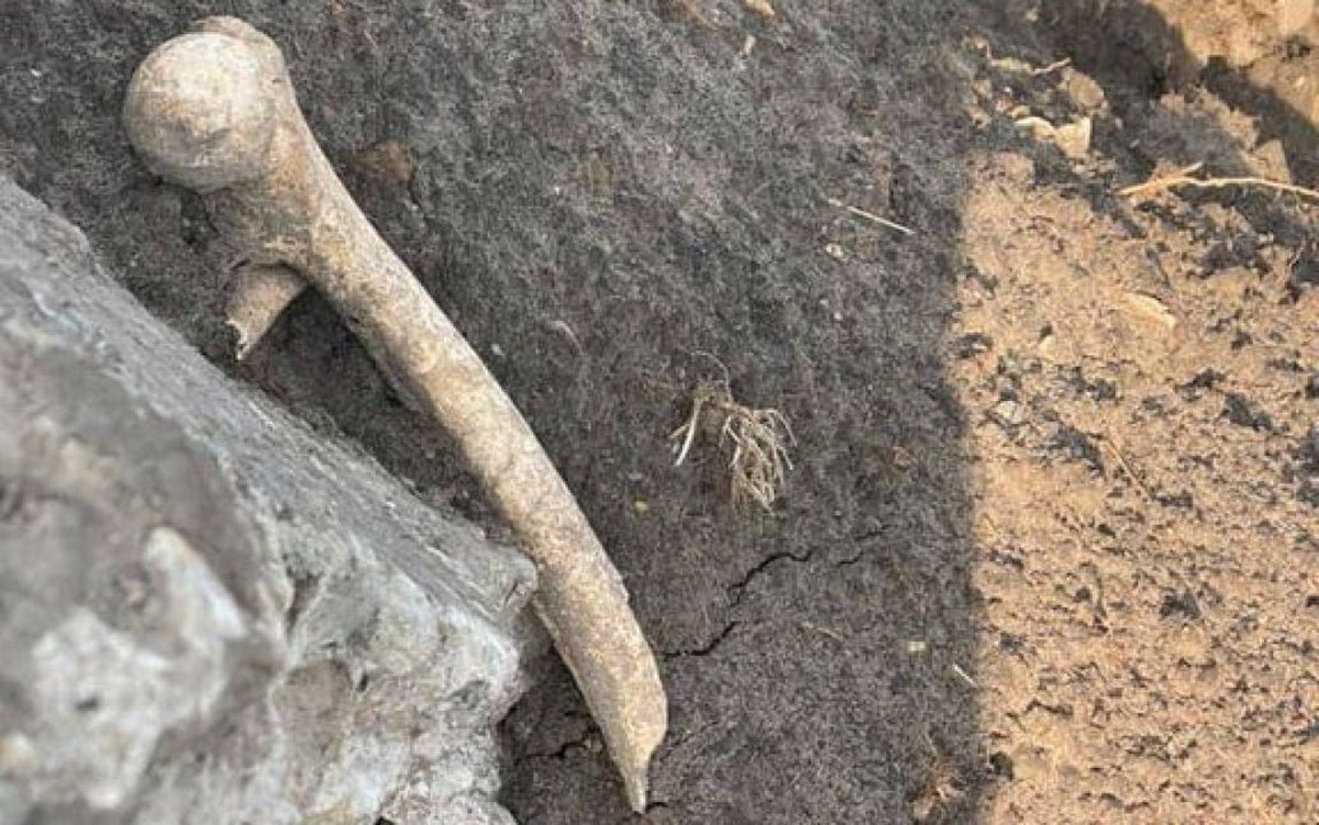 В Капулівці біля будинку культури знайшли останки людини