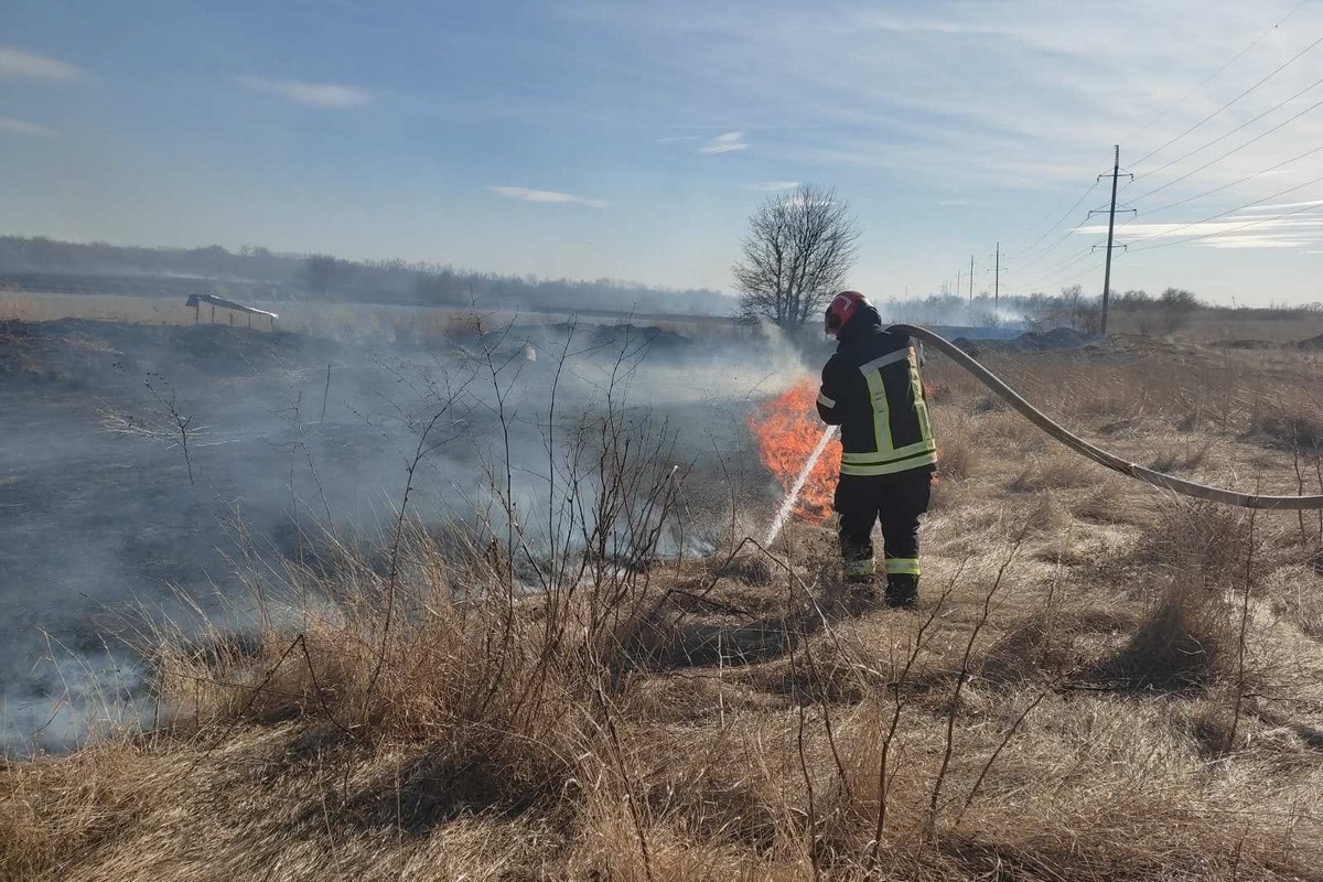У Нікопольському районі 28 березня згоріло 13,9 га екосистеми
