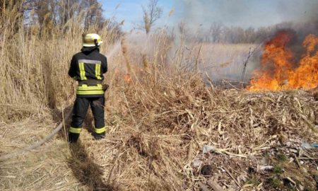 У Нікопольському районі 28 березня згоріло 13,9 га екосистеми
