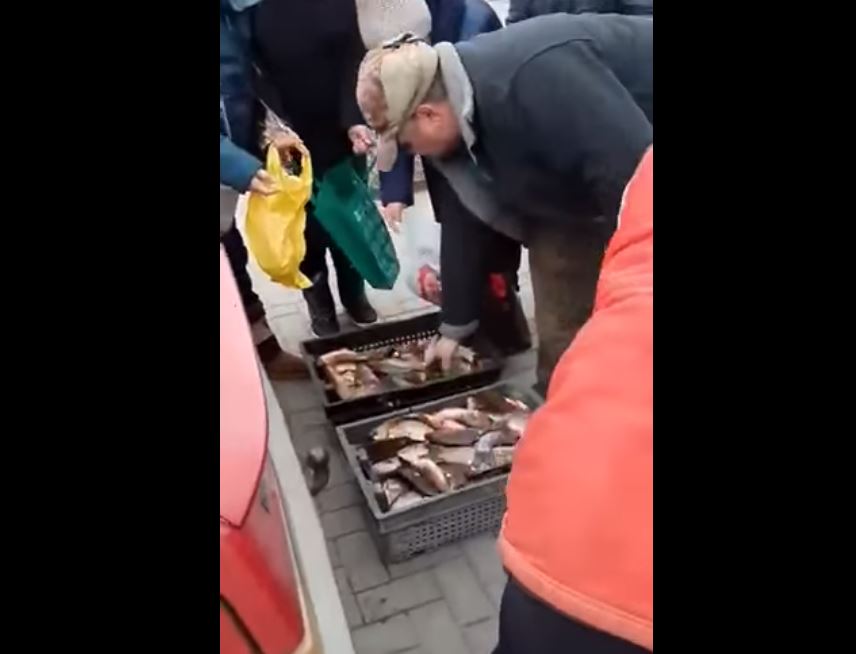 В Енергодарі рибалки безкоштовно роздають рибу містянам