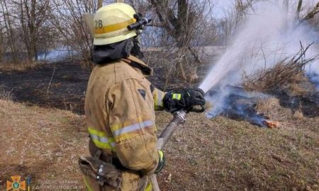 Біля Нікополя сталися пожежі в екосистемі 27 березня