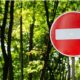 На Дніпропетровщині заборонили відвідувати ліс
