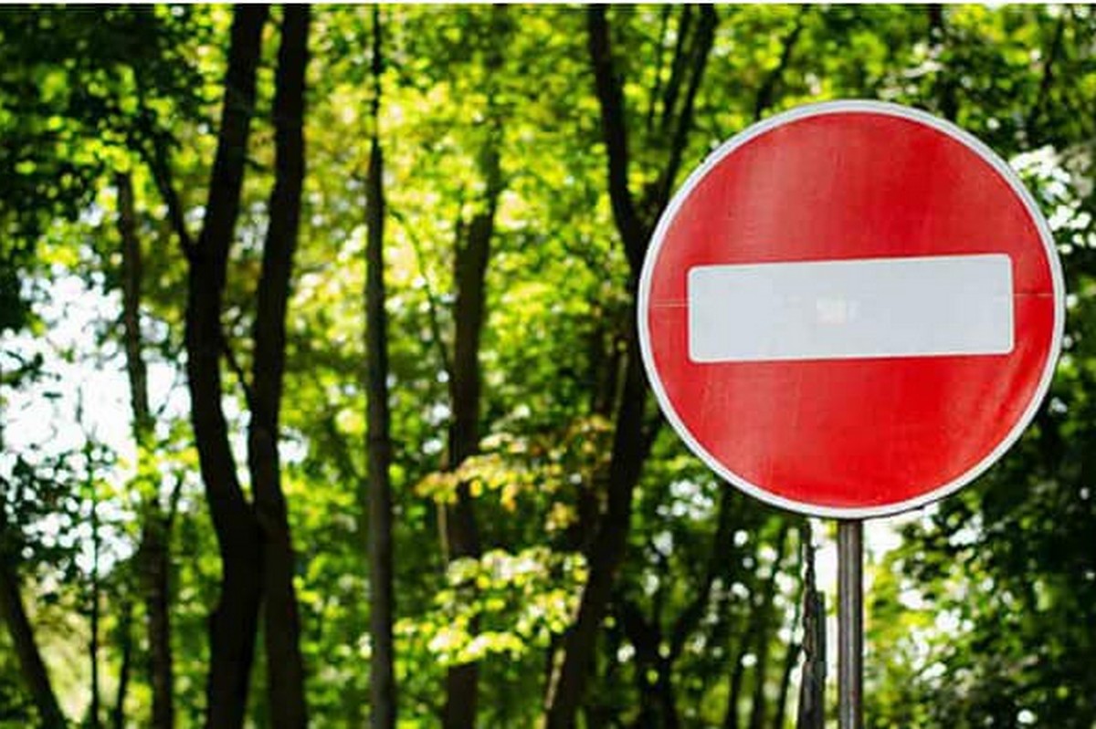 На Дніпропетровщині заборонили відвідувати ліс