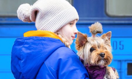 У Нікополі вже більше 1000 переселенців