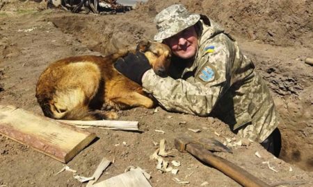 В Никополе собачка Офелия пошла добровольцем защищать родной город